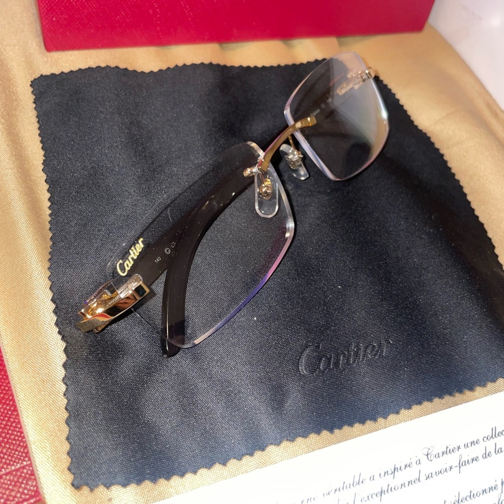 Cartier Buffalo Horn Sunglasses